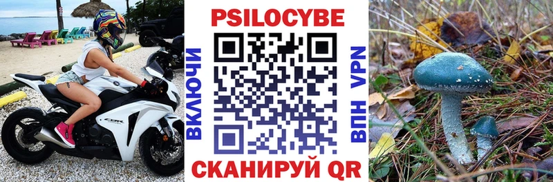 ссылка на мегу как зайти  Луховицы  Псилоцибиновые грибы мицелий  цены  