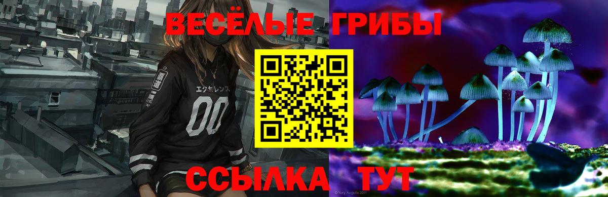 Галлюциногенные грибы Cubensis Луховицы